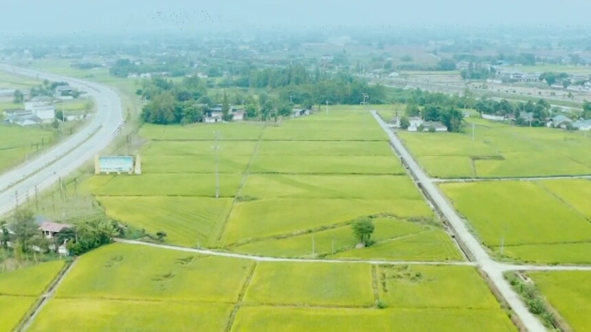 聚焦“三农”重点工作，2026年湖南省委一号文件来了