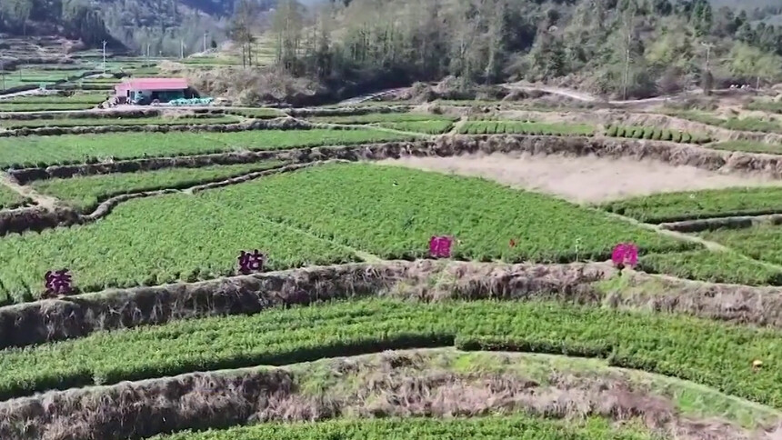 落实全国两会精神 撬动消费新蓝海