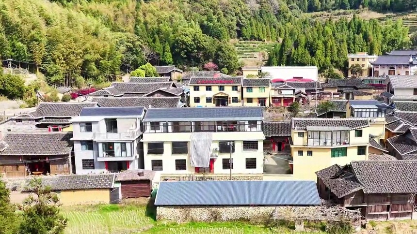 千城百县看中国丨福建霞浦：来吴洋村一起“森”呼吸