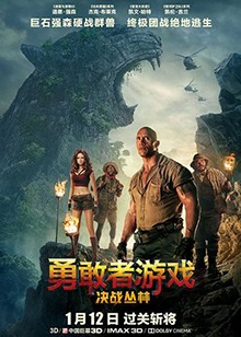 勇敢者游戏:决战丛林