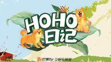 HOHO日记