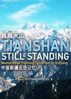 巍巍天山—中国新疆反恐记忆