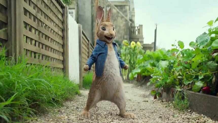 《比得兔》国际预告 "话唠"兔子对抗农场主-电影-高清视频在线观看