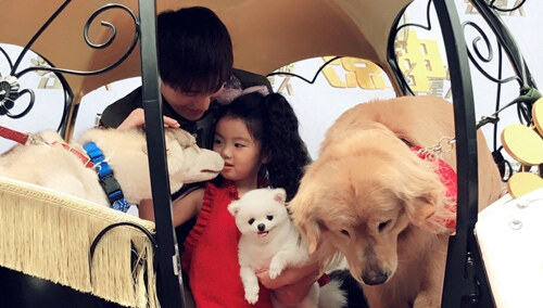 成毅带着阿拉蕾坐南瓜车 实在太拉风了!