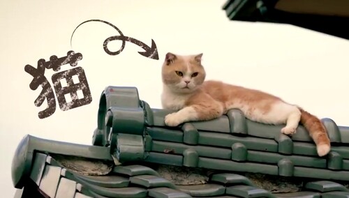 铲屎官们看过来 快来这些游戏里云吸猫啊 芒果tv