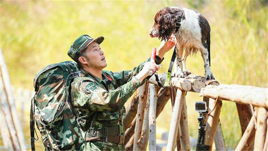 奇兵神犬20171124期:大考核沙溢携爱犬神配合 杨烁怀疑人生苦读训犬