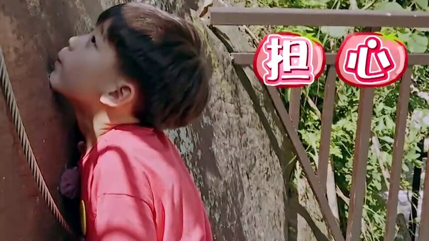 陈子由大胆攀岩 阳哥妈妈被吓哭-动漫-高清视频在线观看-芒果tv