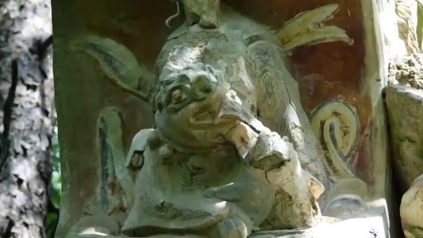 新华视频 上 武当后山 神兽 出没 资讯 高清视频在线观看 芒果tv