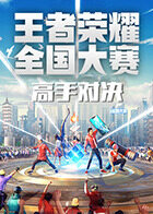 第二届王者荣耀全国大赛总决赛高手对决