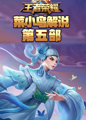 菜小鸟解说王者荣耀 第五部