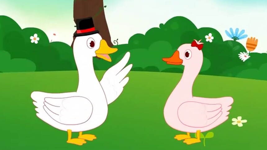 兔小贝儿歌第398集白鹅学唱歌