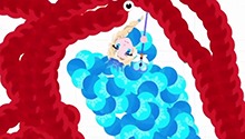 啪啪打脸