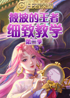 筱波的王者细致教学 第二季