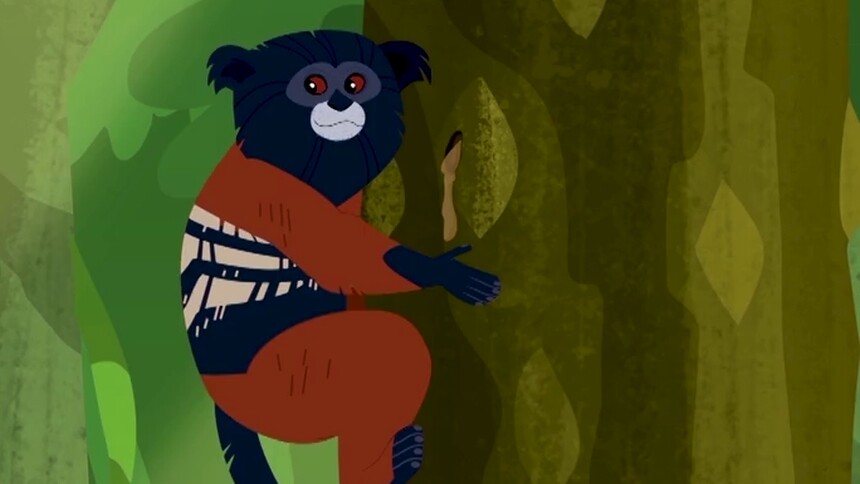 动物兄弟第六季 第8集-动漫-高清视频在线观看-芒果tv