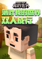 落叶我的世界 双人成行