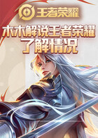 木木解说王者荣耀 了解情况