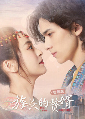 族长的赘婿 电影版