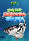 木木解说钓鱼大对决 美洲渔场
