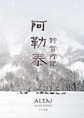 阿勒泰野雪行记