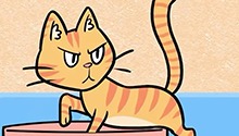 猫为什么会埋便便？
