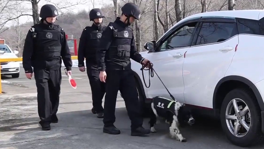第4集 警犬标兵黑米