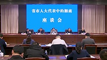 提振信心 积极作为 续写湘商回归 互利共赢新篇章