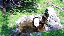 福宝环场营业中