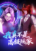 我真不是高级玩家
