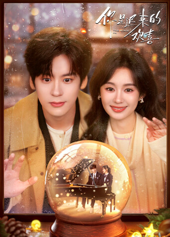 你是迟来的欢喜-封面0