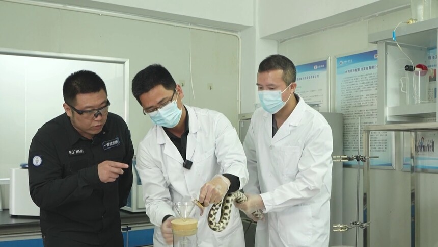 被毒蛇咬伤该怎么办？