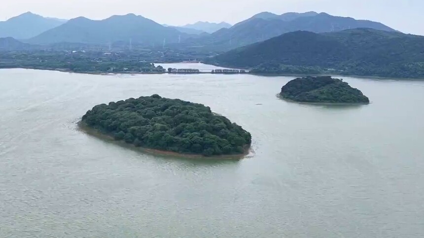安徽铜陵：湖中小岛变身鸟类“驿站”