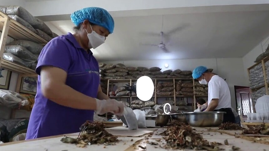 千城百县看中国｜湖南宁远：瑶浴药包助古法养生出山