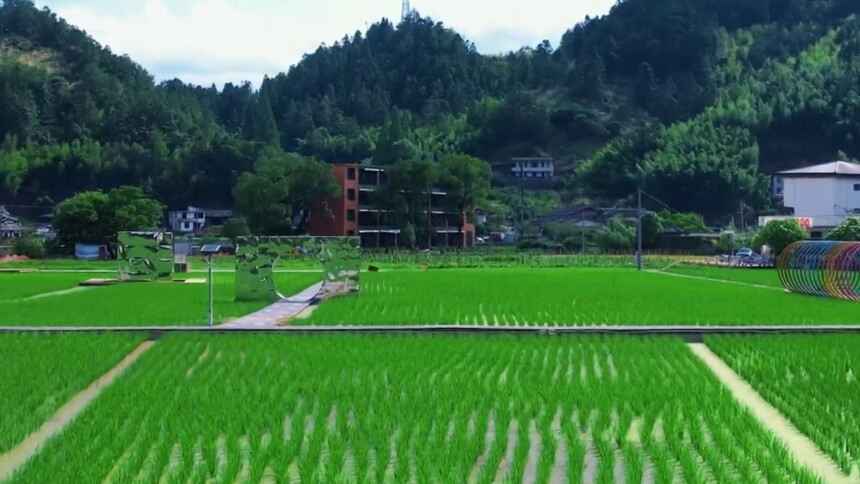 瞰中国｜福建德化：田野里的“新生”