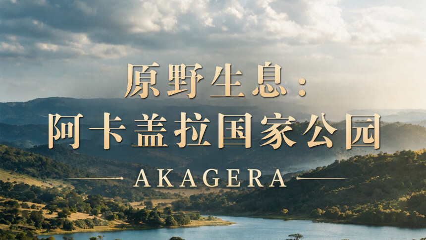 卢旺达《原野生息：阿卡盖拉国家公园》