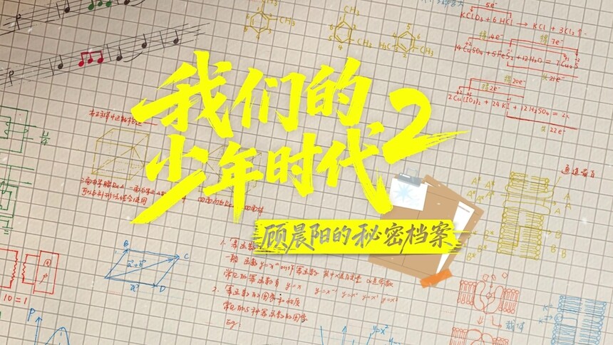 顾晨阳的秘密档案