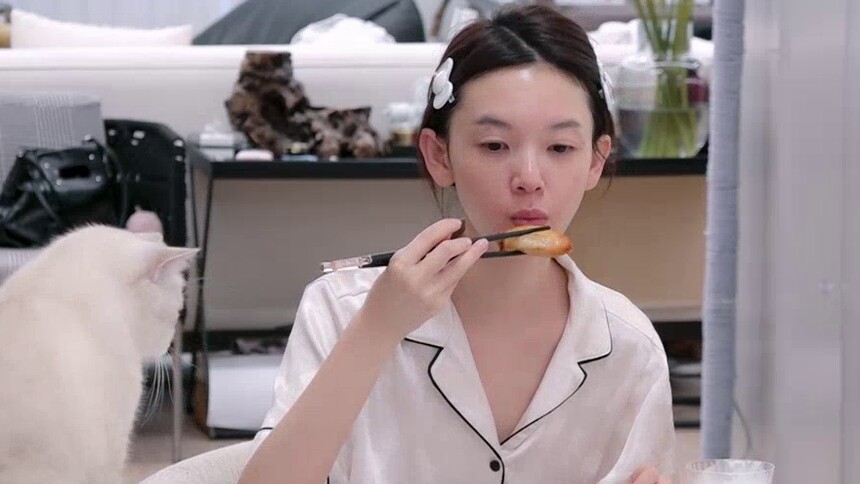 陈瑶早醒第一件事逗猫