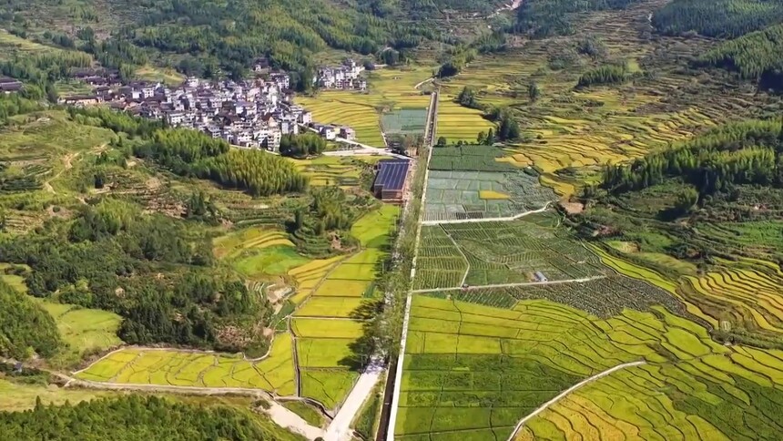 千城百县看中国·丰收节｜三地丰收景 共绘振兴图