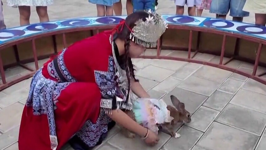 我们的节日·中秋 来湘潭撒欢杨梅洲 体验民俗过中秋