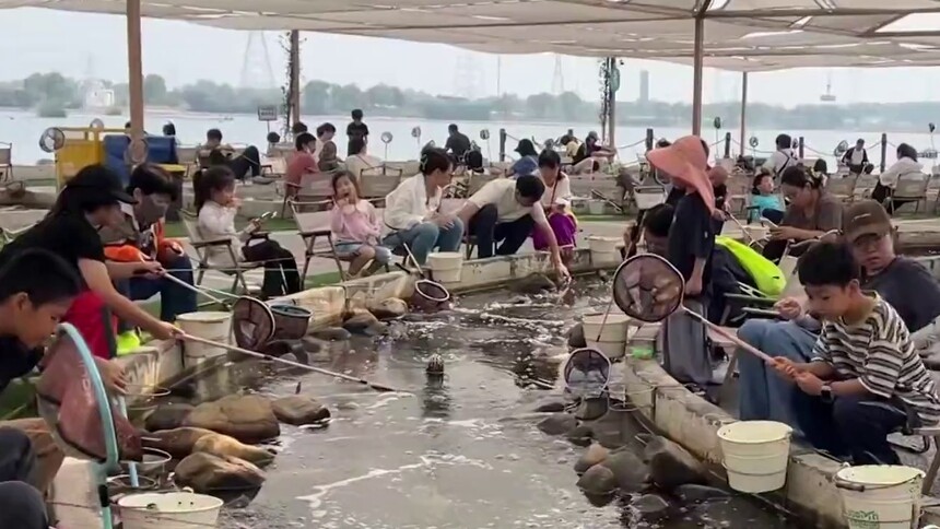 千城百县看中国｜河北曹妃甸：农旅新业态喜迎八方客