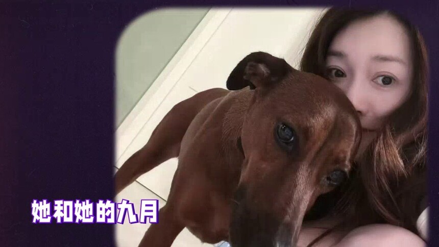 李小冉领养了横店的流浪狗