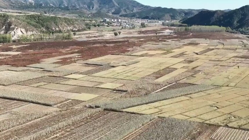 河北隆化：金秋收割忙 水稻迎来收获季