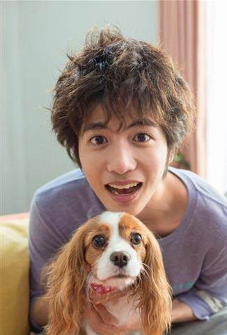 宠物情人-搜索结果-全网视频在线直播-芒果tv-湖南卫视全网视频搜索